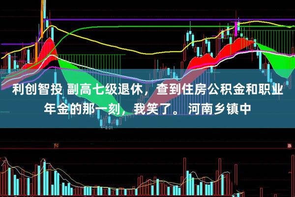 利创智投 副高七级退休，查到住房公积金和职业年金的那一刻，我笑了。 河南乡镇中